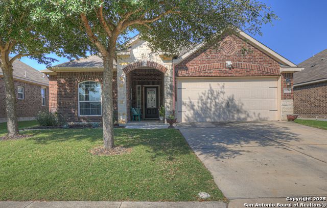 Image 2 of 26 For 327 Amaryllis