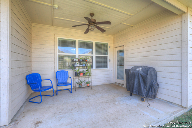 Image 22 of 26 For 327 Amaryllis