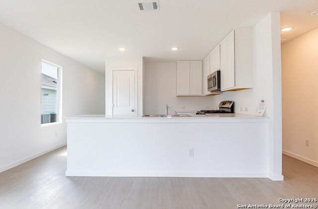 Image 11 of 33 For 787 Bullsnake