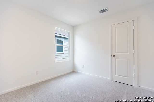 Image 17 of 33 For 787 Bullsnake