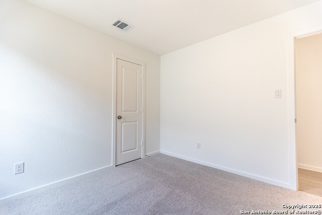 Image 18 of 33 For 787 Bullsnake