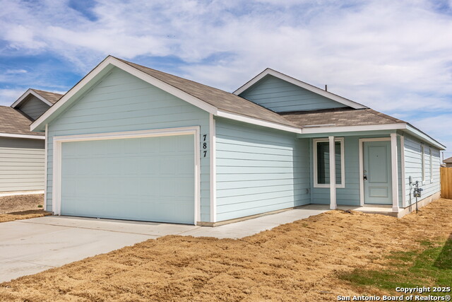 Image 2 of 33 For 787 Bullsnake