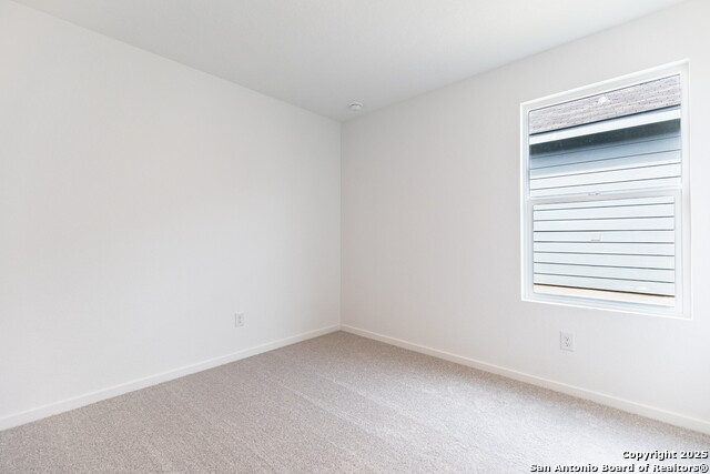 Image 20 of 33 For 787 Bullsnake