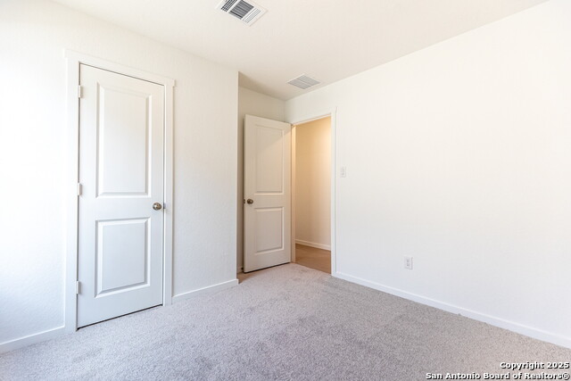 Image 21 of 33 For 787 Bullsnake