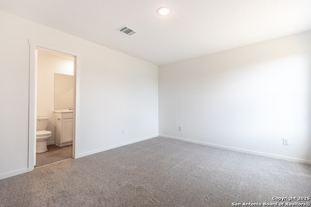 Image 22 of 33 For 787 Bullsnake