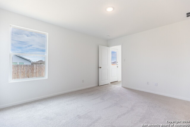 Image 23 of 33 For 787 Bullsnake