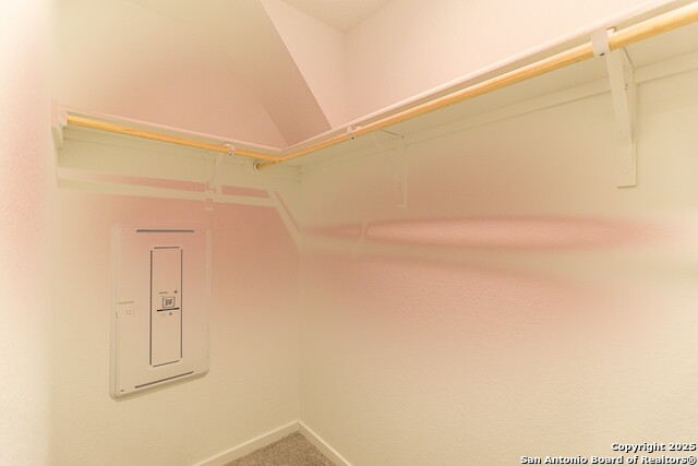 Image 26 of 33 For 787 Bullsnake