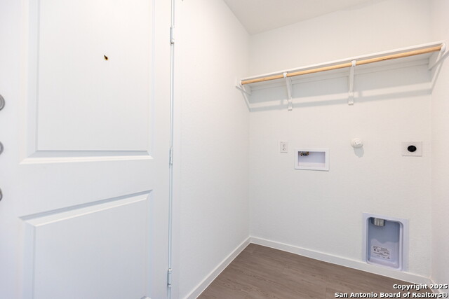 Image 27 of 33 For 787 Bullsnake