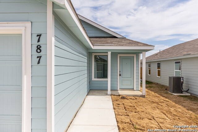 Image 4 of 33 For 787 Bullsnake