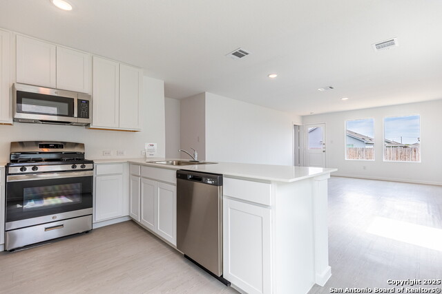 Image 7 of 33 For 787 Bullsnake