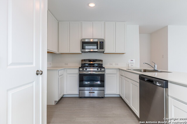 Image 8 of 33 For 787 Bullsnake