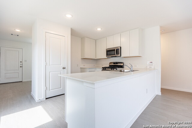 Image 9 of 33 For 787 Bullsnake