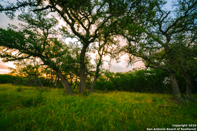 Image 10 of 10 For 000 Lone Oak Hollow