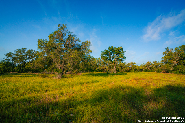 Image 2 of 10 For 000 Lone Oak Hollow