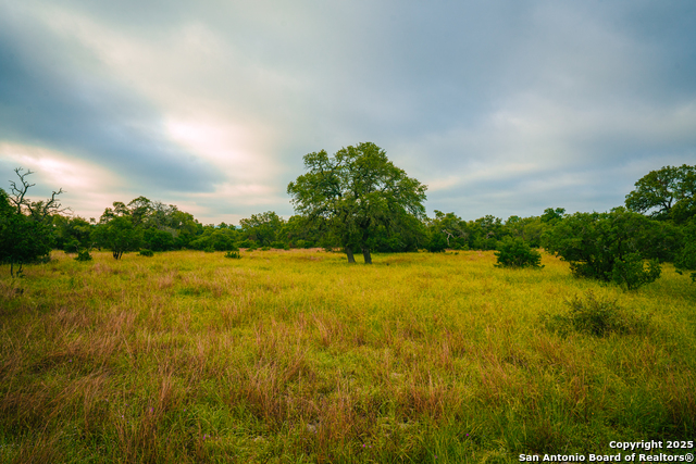 Image 4 of 10 For 000 Lone Oak Hollow