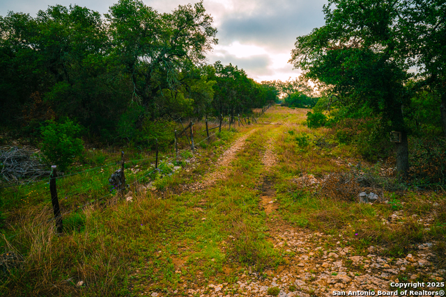 Image 8 of 10 For 000 Lone Oak Hollow