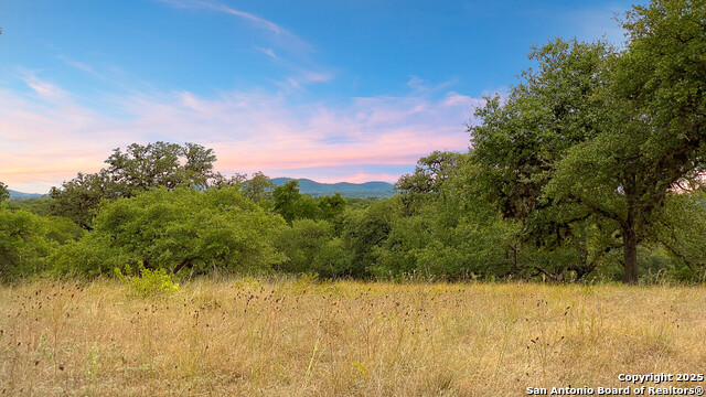 Image 14 of 20 For 2727 Palomino Springs