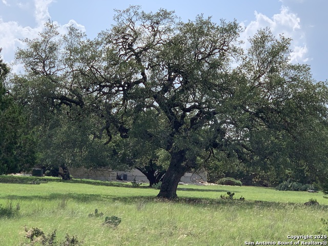Image 8 of 20 For 2727 Palomino Springs