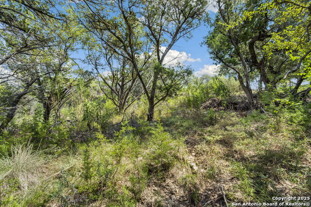 Image 11 of 38 For 1484 Stahlman