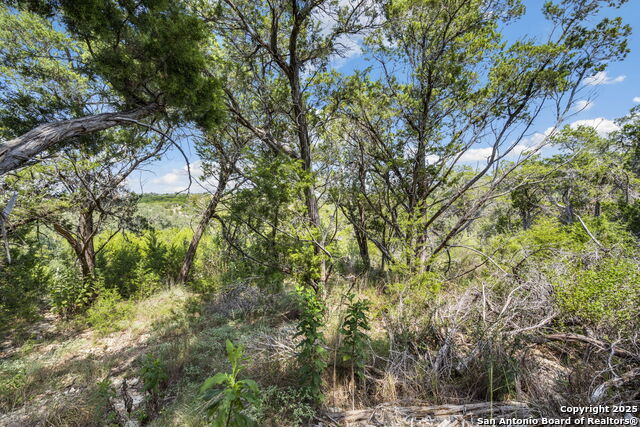 Image 12 of 38 For 1484 Stahlman