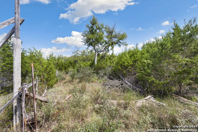 Image 16 of 38 For 1484 Stahlman