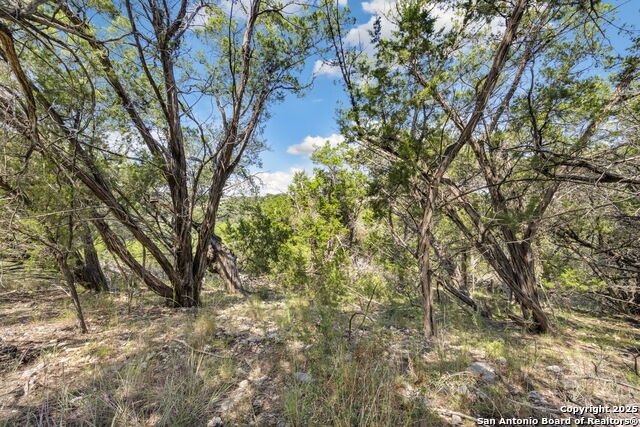 Image 26 of 38 For 1484 Stahlman