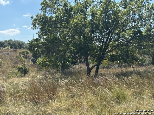 Image 56 of 62 For 872 Oak Drive