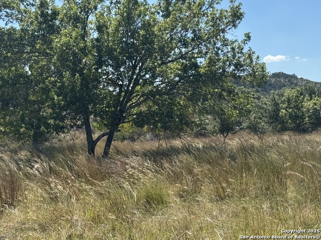 Image 57 of 62 For 872 Oak Drive