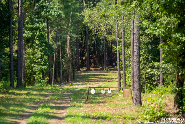 Image 10 of 29 For 554 Vz County Road 4815