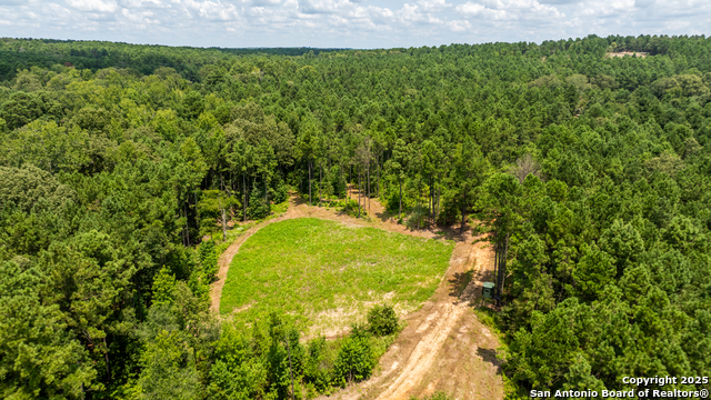 Image 12 of 29 For 554 Vz County Road 4815