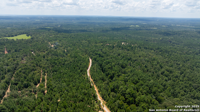 Image 16 of 29 For 554 Vz County Road 4815