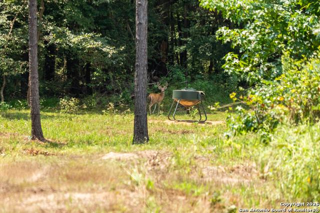 Image 24 of 29 For 554 Vz County Road 4815