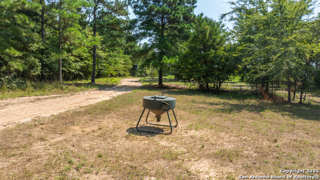 Image 25 of 29 For 554 Vz County Road 4815