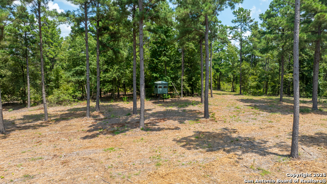 Image 26 of 29 For 554 Vz County Road 4815