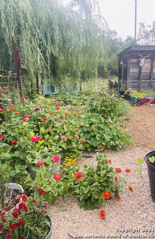 Image 51 of 85 For 228 & 232 Spring Rd