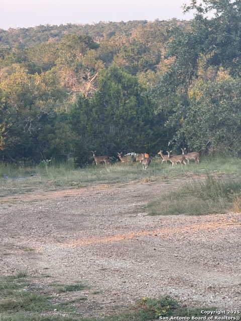 Image 80 of 85 For 228 & 232 Spring Rd