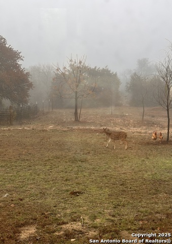 Image 81 of 85 For 228 & 232 Spring Rd