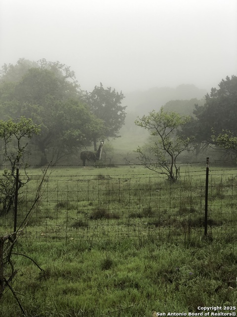 Image 82 of 85 For 228 & 232 Spring Rd