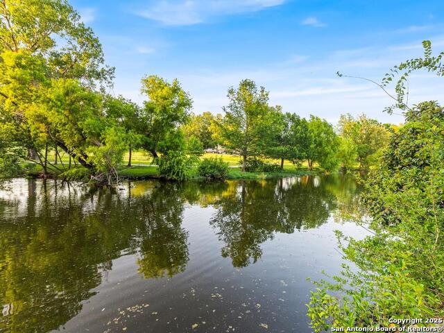 Image 8 of 80 For 136 Evergreen W