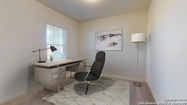 Image 2 of 13 For 10539 Lesser Snow