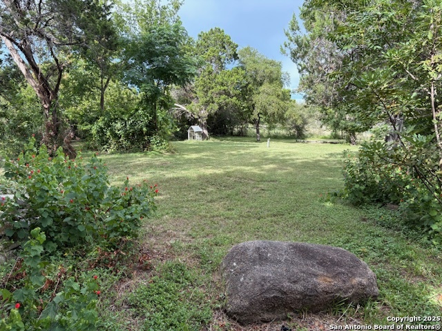 Image 14 of 58 For 17 Roadrunner