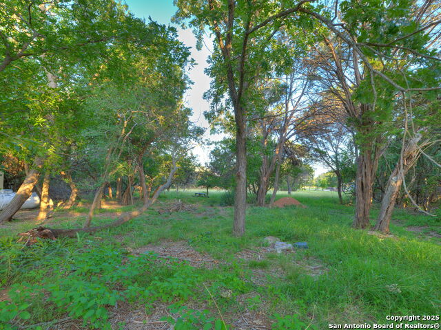 Image 17 of 58 For 17 Roadrunner