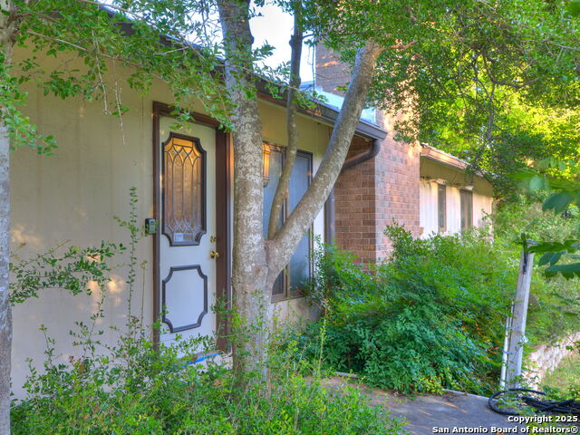 Image 22 of 58 For 17 Roadrunner