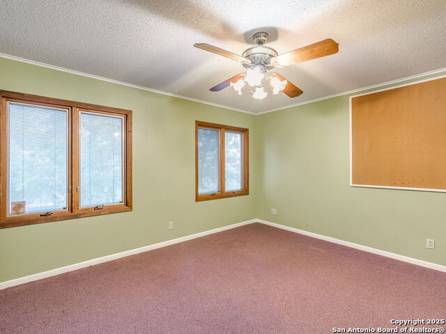 Image 49 of 58 For 17 Roadrunner