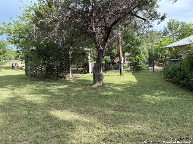 Image 58 of 58 For 17 Roadrunner