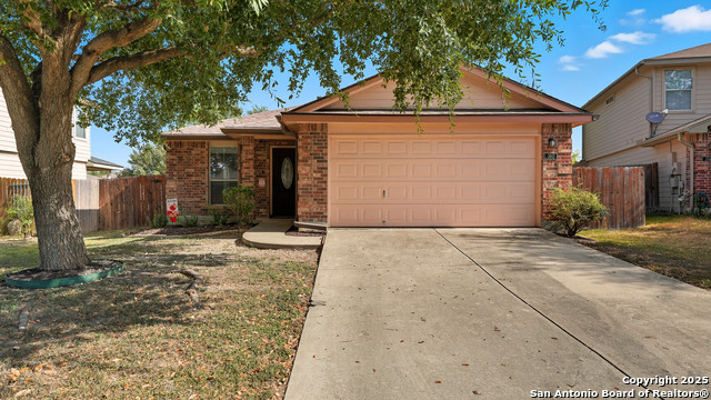 Image 2 of 41 For 360 Ibis Falls