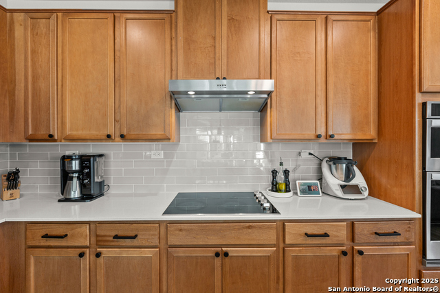 Image 10 of 40 For 5311 Spanish Bluebells