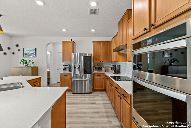 Image 11 of 40 For 5311 Spanish Bluebells