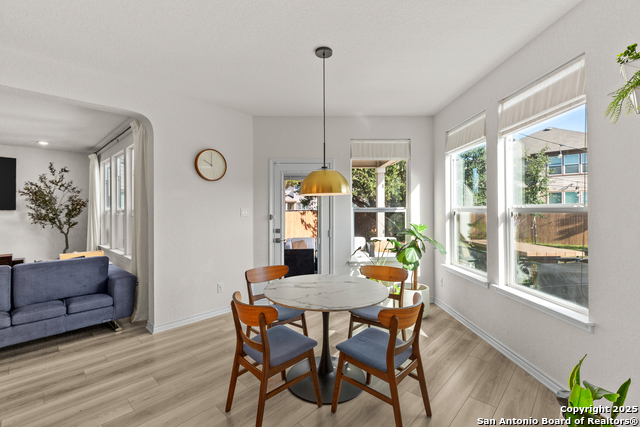 Image 12 of 40 For 5311 Spanish Bluebells