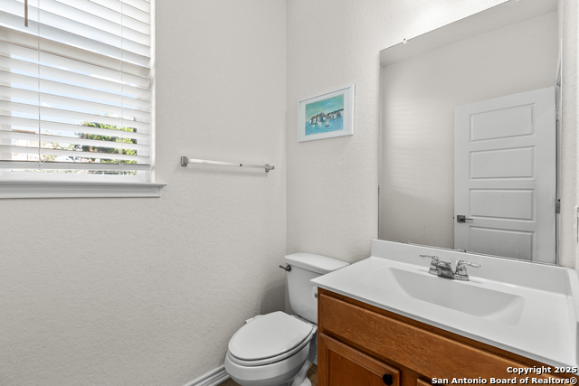 Image 16 of 40 For 5311 Spanish Bluebells